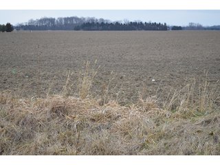 Property photo 14 - 175 Acres Offered in 5 Tracts - Tontogany, Ohio Farm Land Auction